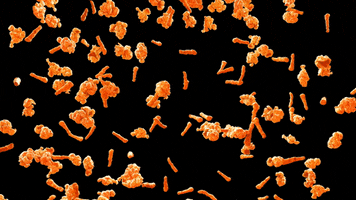 Flamin Hot Cheetos Popcorn GIF by Cheetos