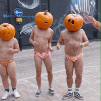 Trick Or Treat Dance GIF by Budgy Smuggler