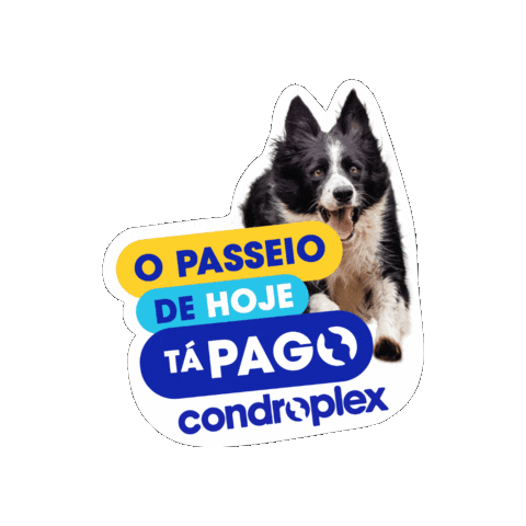 Avert360 Sticker by Avert Saúde Animal