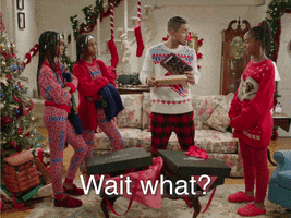 Wait What Holiday GIF by Coach