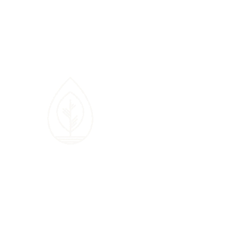 Seedlingdigital Sticker