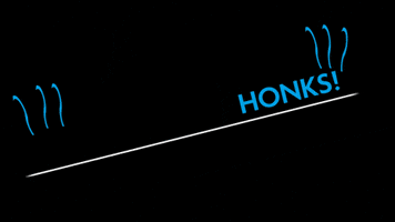 Art It Smells GIF by British Aqua Feeds