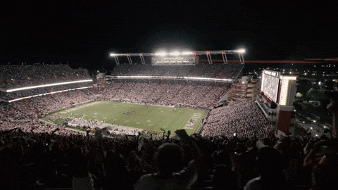 College Football GIF by Gamecock Athletics - Find & Share on GIPHY