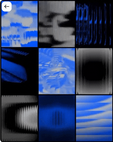 Motion GIF by Coral Garvey