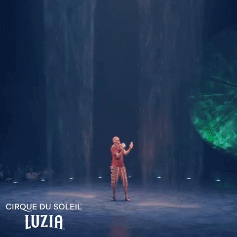 Fun Comedy GIF by Cirque du Soleil