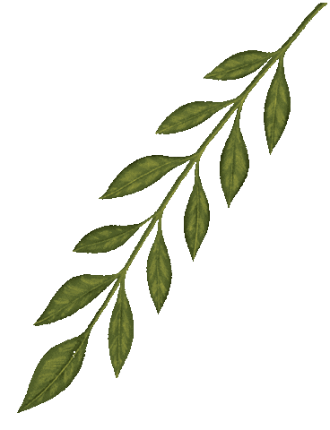 Queridaagenda Queridaagenda23 Agenda Organizacion Emprendedoras Sonadoras Querida Sticker by QUERIDA