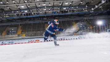 Hockey Matrix GIF by Red Bull Munich