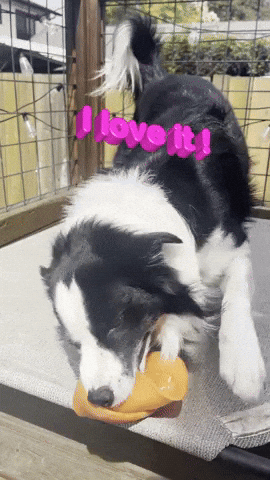 I Love It GIF