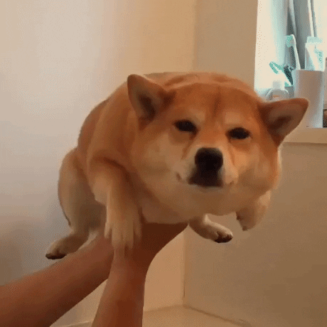 smudge  GIF