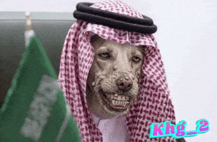 Ksa GIF
