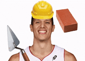 Miami Heat GIF