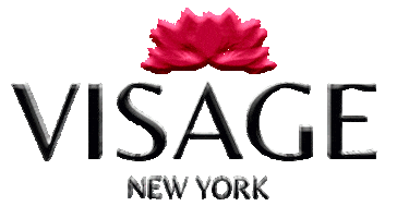 Visage New York Sticker