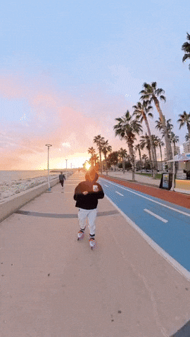 Roller Skate Skating GIF