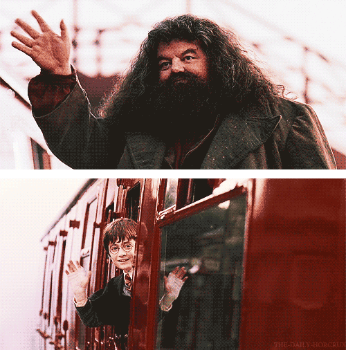  harry potter hp wave train requested GIF