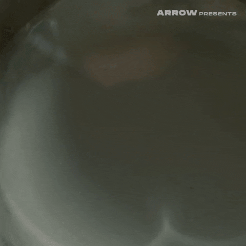 Dark Water Horror GIF by Arrow Video