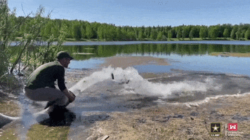 Rainbow Trout Fishing GIF by Storyful