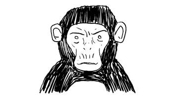 monkey business GIF by Neil Sanders