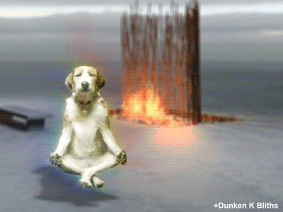 Peaceful Meditation GIFs - Get the best GIF on GIPHY