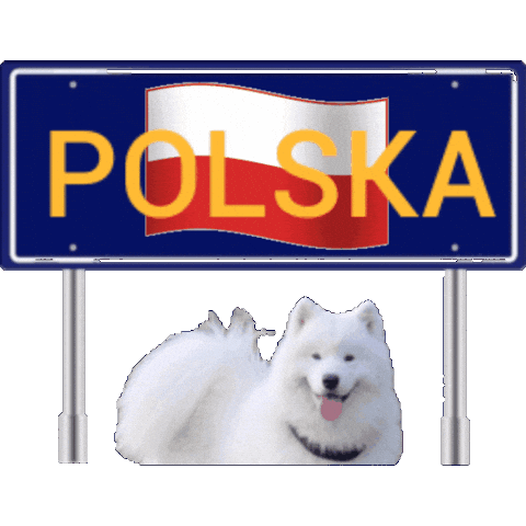 Europe Poland Sticker