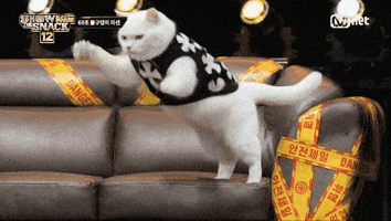 Show Me The Snack GIF