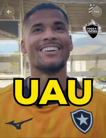 Fogao GIF