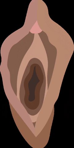 pussywillow meme gif