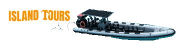 Island Tours Sticker