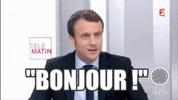 Emmanuel Macron Bonjour GIF by franceinfo