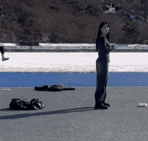 Black Queens Throw GIF