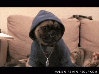 giphy.gif?cid=4bf119fc5cbe38f04a336a2e2ef1b35f