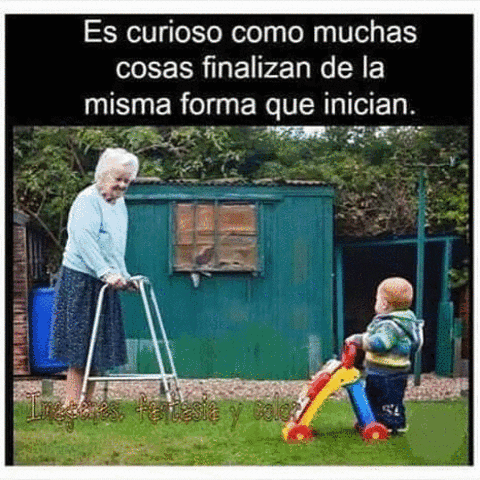 hernandez  GIF