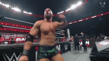 Rey Mysterio Wwe GIF