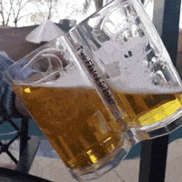 mug beers GIF