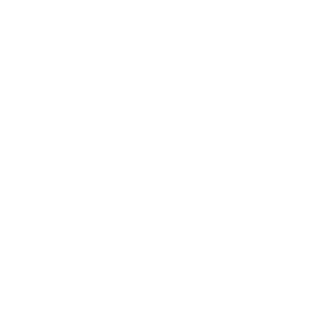 Lungi Company Sticker