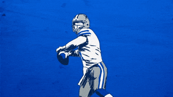 Dallas Cowboys Football GIF