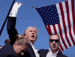 Trump Eu GIF by AWEBO