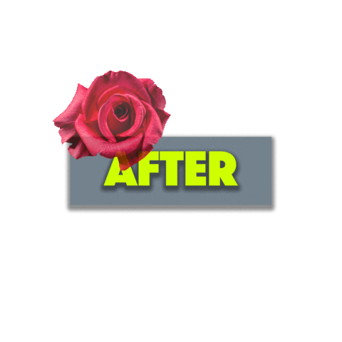 MoontowerMicroblading Sticker