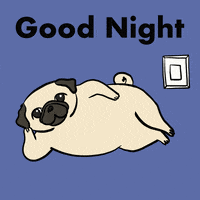Good Night Love Gif Find Share On Giphy