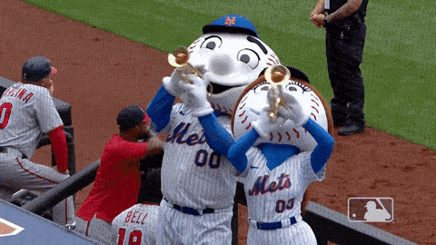 Major League Baseball Sport GIF by New York Mets - Find & Share on