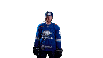 Hockey Kazakhstan Sticker by barys_official