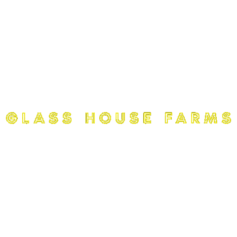Neon Weed Sticker by Glass House Farms