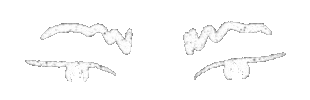 Angry Sticker