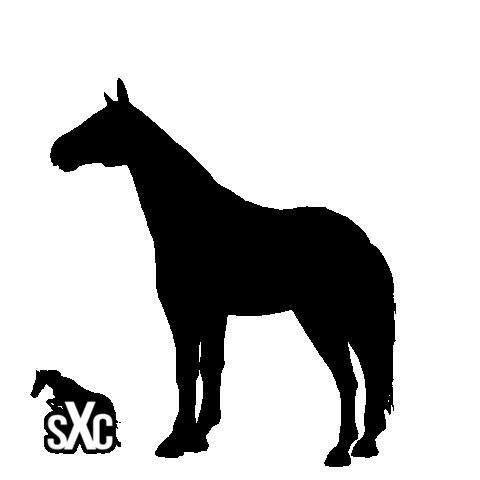 Sxc Sticker by Super X Country