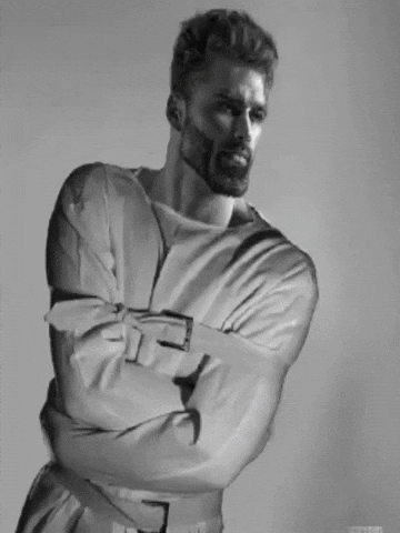 Alpha Chad GIF by Gigachad