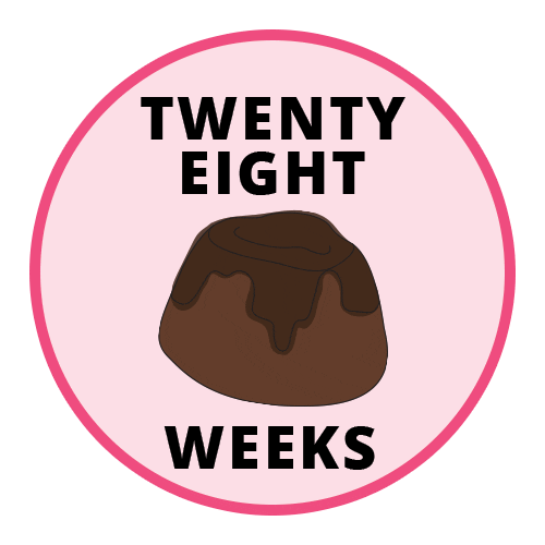 28 Weeks Pregnancy Sticker by Bump Boxes