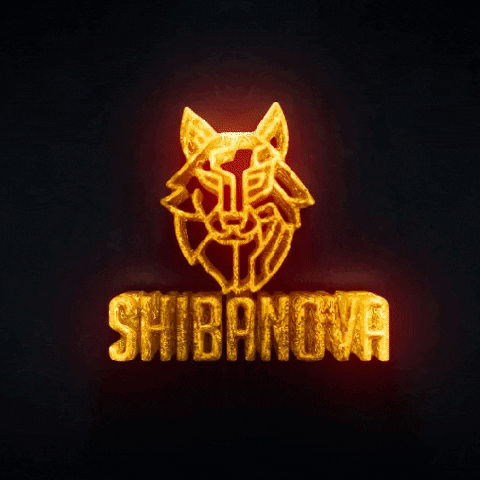 ShibaNova dex amm defi 20 shibanova GIF