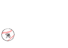 Columbia Fireflies Sticker