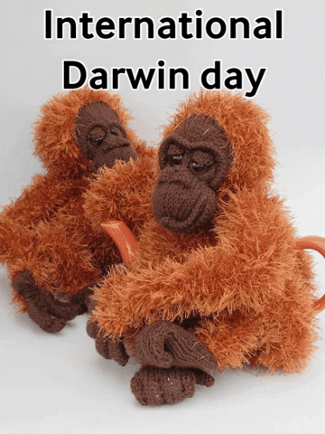 Charles Darwin Monkey GIF by TeaCosyFolk