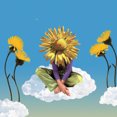 Shambhalahumanresources GIF by Shambhala Music Festival