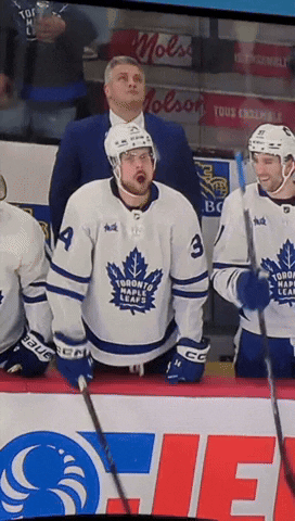 Maple Leafs GIF
